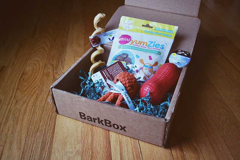 Bark Box  |  featured on Paper & Honey